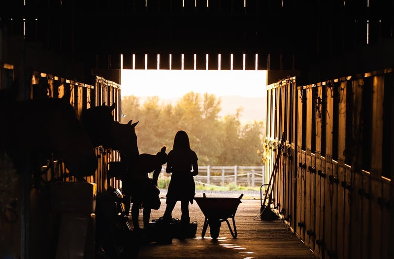 Rustic Acres Farm