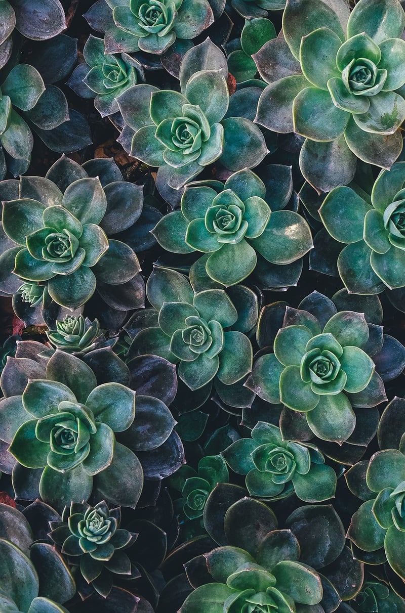 Garden-Inspired Centerpieces